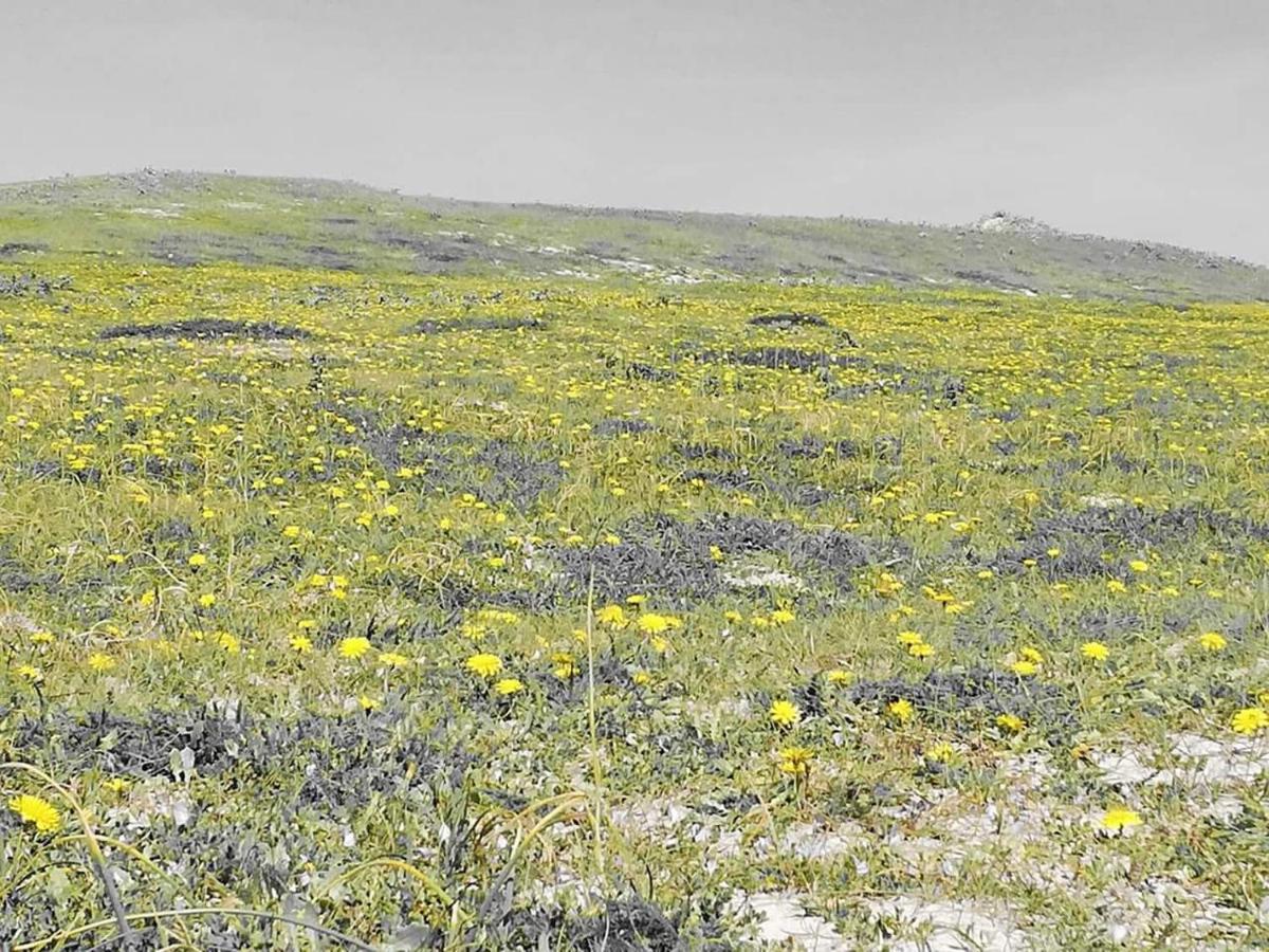 فيلا Ty Biz Saint-Jean-Trolimon المظهر الخارجي الصورة